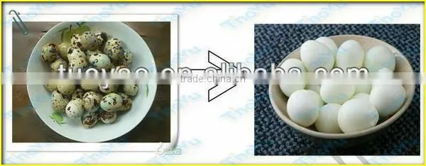 Advanced Quail Egg sheller