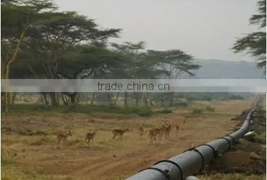 20 tons oil pipe layer PIPELINEMAN PMG20 for sale
