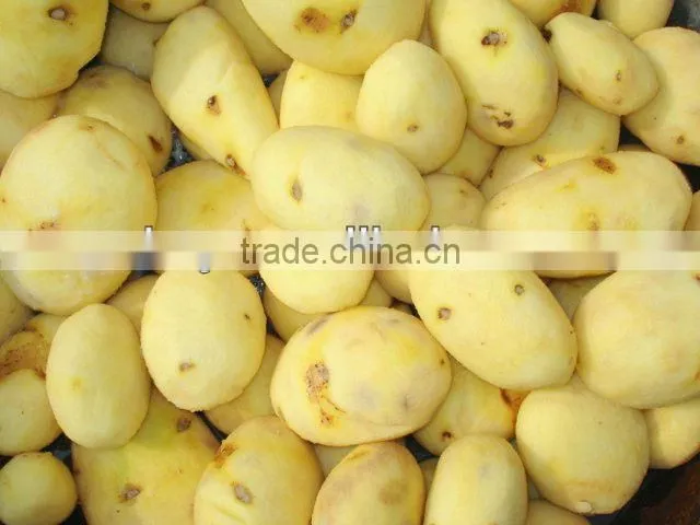 Hot sale TP type SS Automatic Potato Peeler for sale