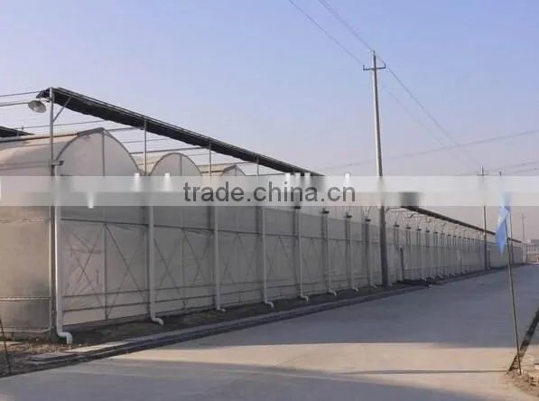 In plastic greenhouse was outside shading