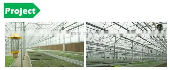 Poly Tunnel Greenhouses for Sale