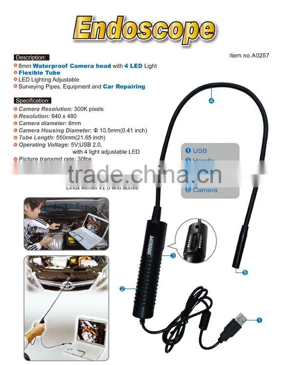 Endoscope