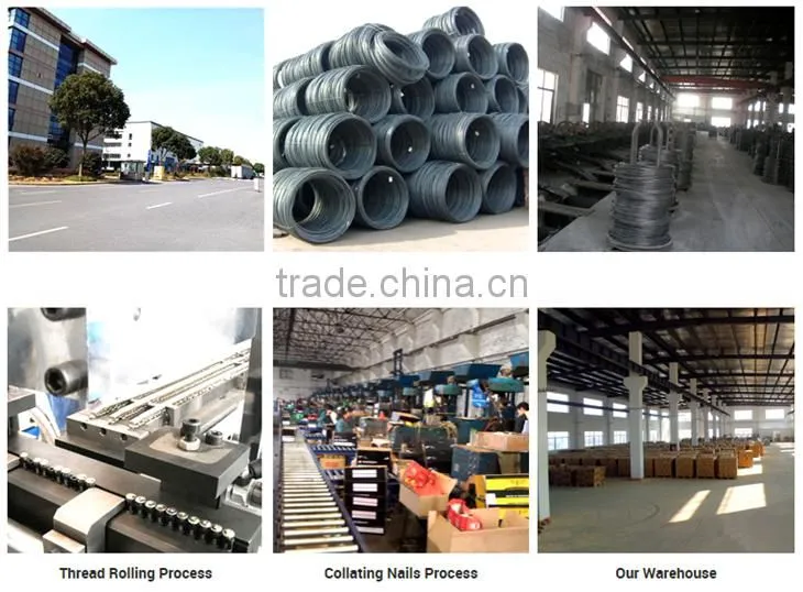 Manufacturer Supply CUT MASONRY NAILS