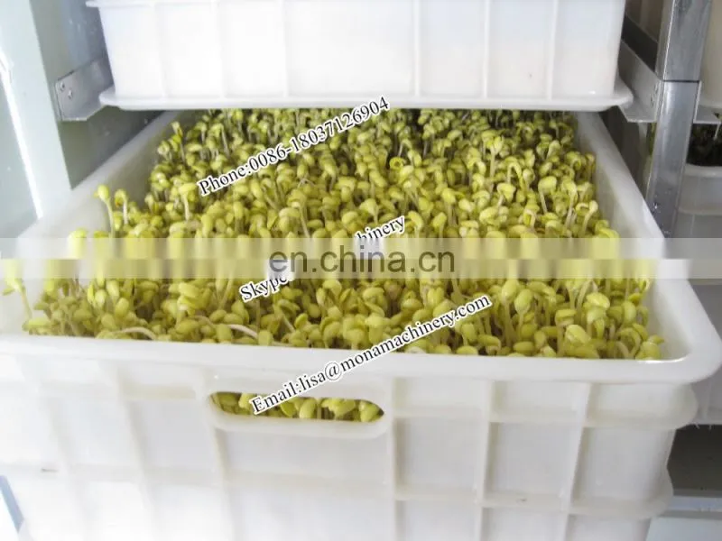 Prior market profession automatic bean sprout growing machine