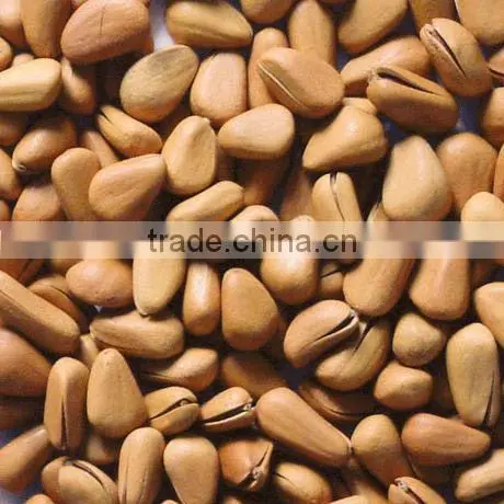 Pine nut kernel