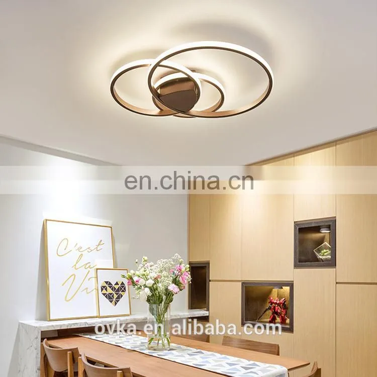 Creative ring ceiling lamp furniture practical lighting