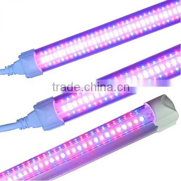 T8 led tube grow light for greenhouse, t8 red blue led plant grow light tube for hydroponic lettuce