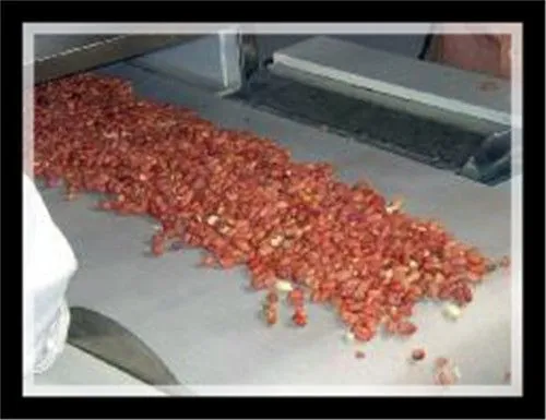 Complete Creamy Peanut Butter Grinding Grinder Making Machines/Peanut Butter Processing Line Production Plant Manufacturer