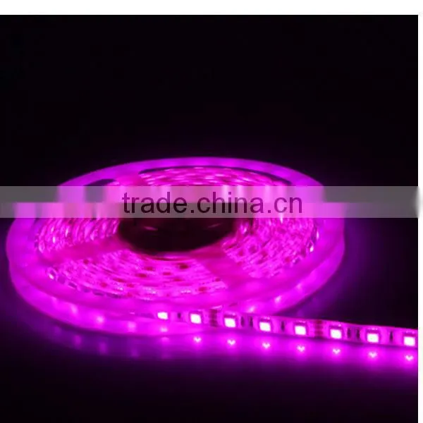 china new products Led Strip 4.8 Watt Per Meter Ip66 Led Strip Rgb300leds Strip Light