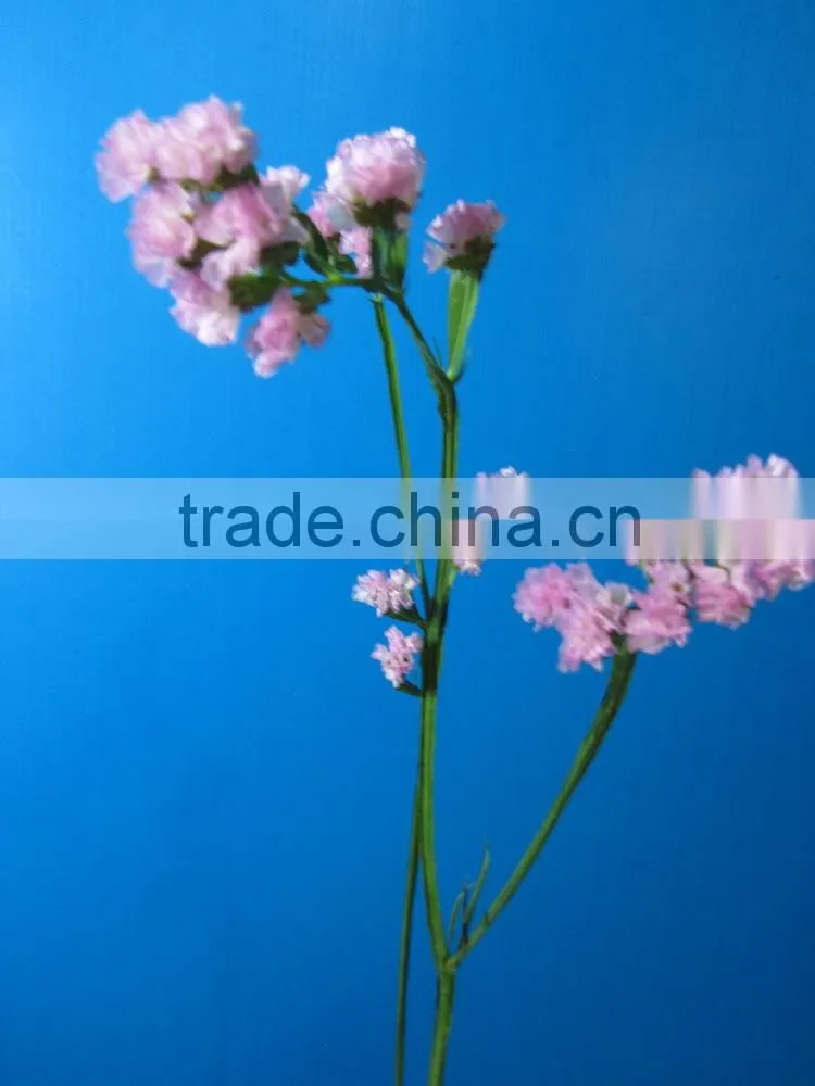 Colorful hot sale decorative supplies myosotis