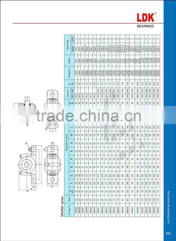 Cast Iron Plummer Blocks SNU505