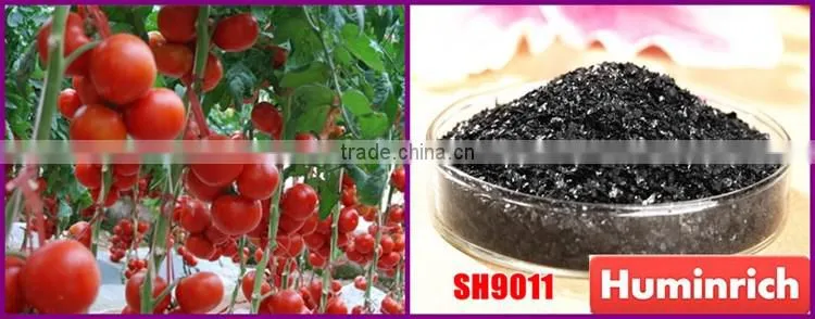 FAQ 39--What Kind Of Organic Fertilizer Can Be Used As Tomato Fertilizer?