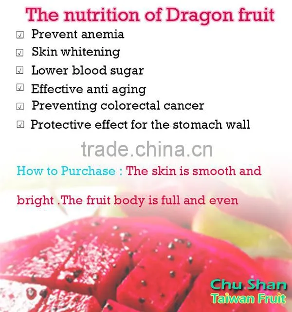 Fresh dragon fruit exporter from Taiwan