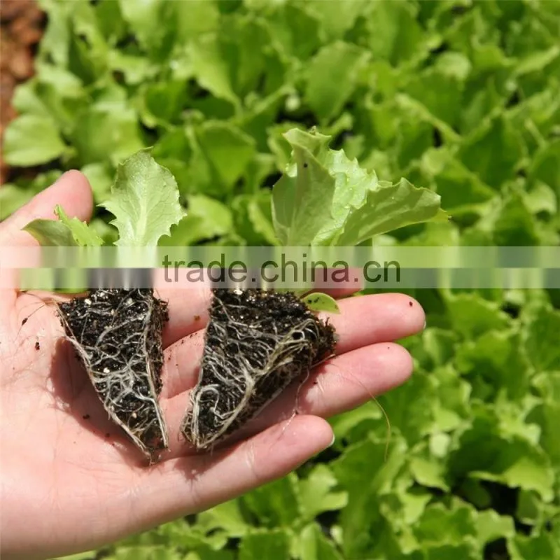 SAP for agriculture