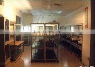 Startac International Co., Ltd. company overview - view 2