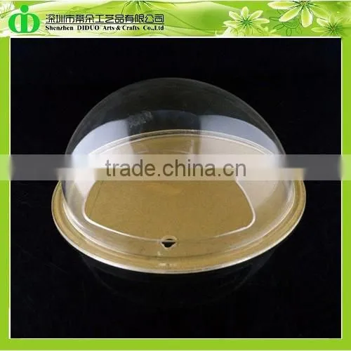 DDT-0072 Trade Assurance Cheap Live Aquarium Fish
