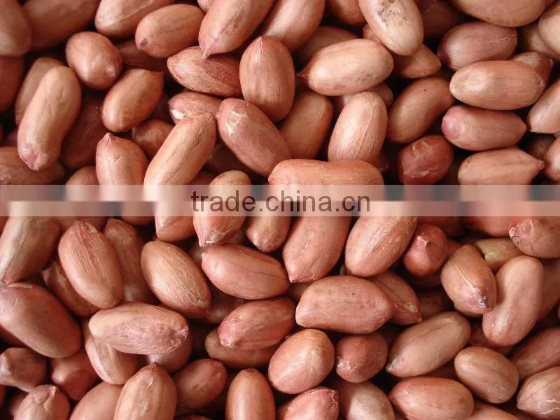 Wholesale roasted red skin peanut