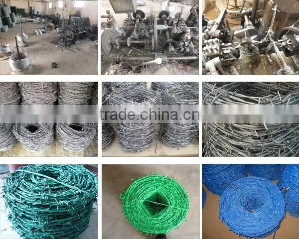 Cheap electrical barbed wire for sale