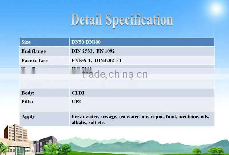 DN32-DN300 Ductile iron flanged Y strainer