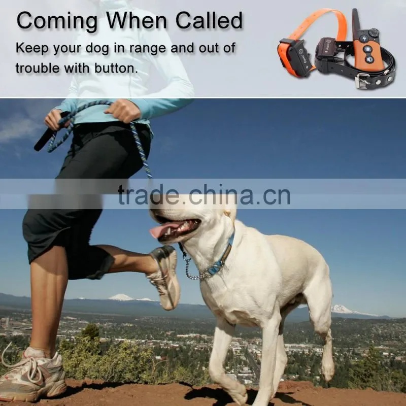 Ipets PET619-1 2016 Newest Rechargeable Zap Collar For Small Dogs