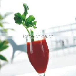 Multi-function home appliance hand blender