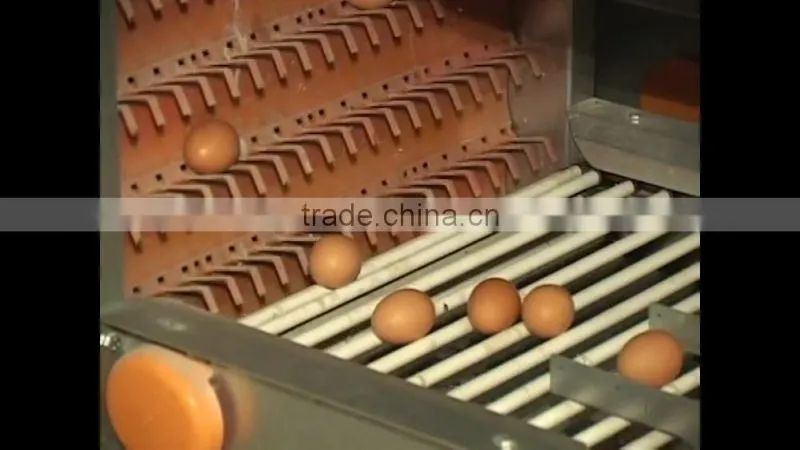 FRESH BROWN CHICKEN EGGS