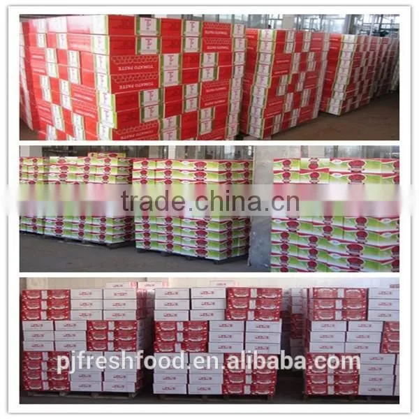 Canned Tomato Paste