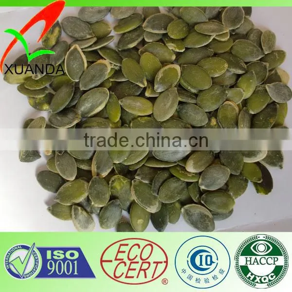 High quality china shine skin pumpkin seed in shell