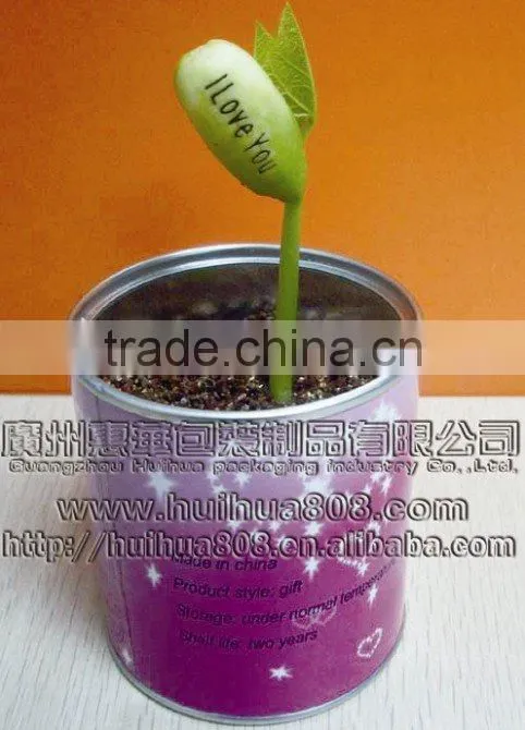 seed