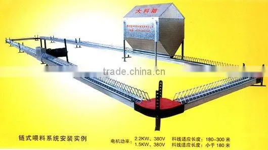 automatic poultry equipment for chicken