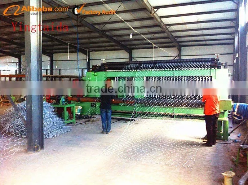Wire Mesh,hexagonal wire mesh