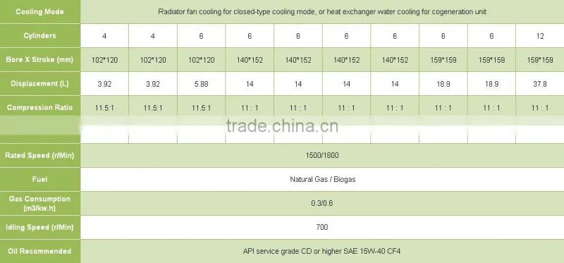 CE approved biogas generator/biogas power plant/biomass generator/chp