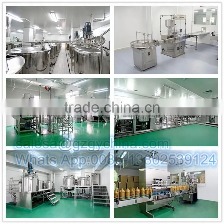 Stainless steel CE approved ginger garlic paste making machine