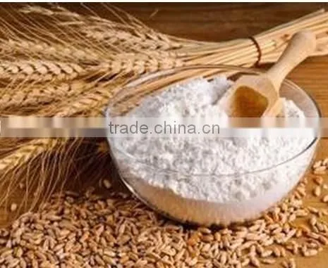dog cat fish food production extruder
