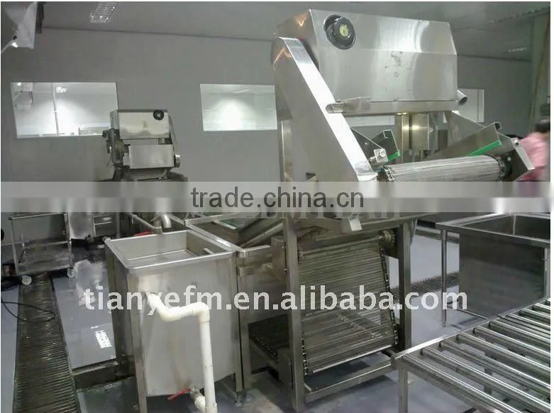Food processing machinery with top quality (Video)