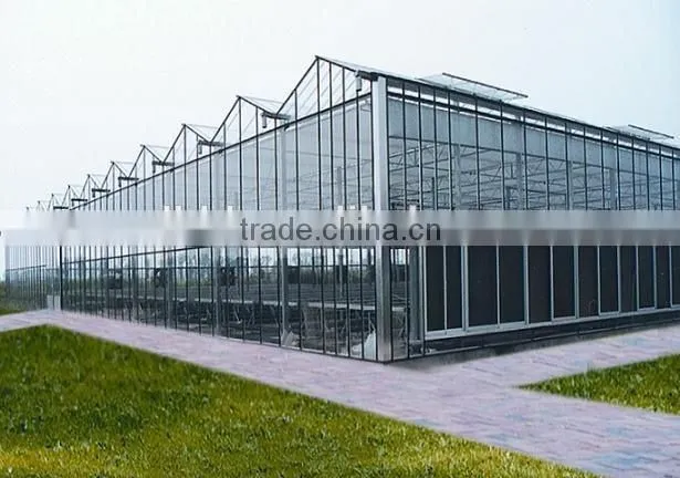 large plastic film multi-span greenhouse for plant growing or commercial use