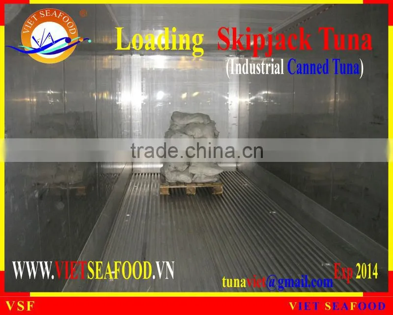 LOADING FROZEN SKIPJACK TUNA W/R