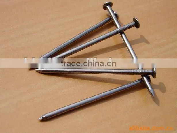 All size bright common nail on hot sale china supplier on hot sale