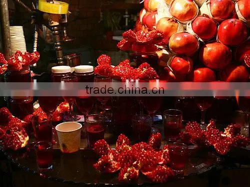 orange juicer Fruit orange juicer Orange squeezer Orange extruder Orange juicing machine Orange juicer