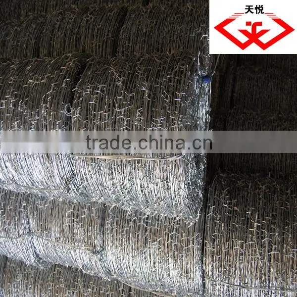 galvanized barbed wire(factory)
