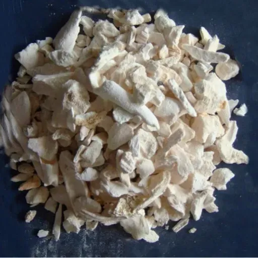 Bone Ash (3)
