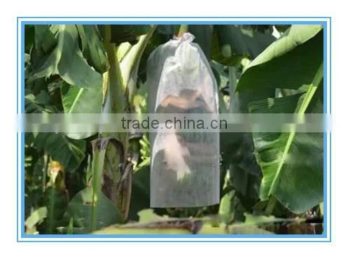 Disposable pure white sheets