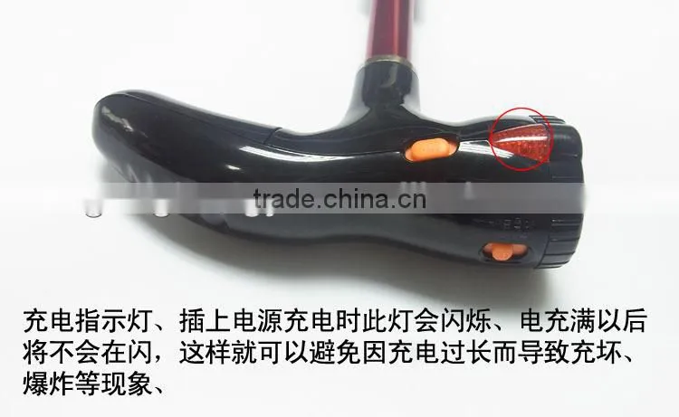 Multi-function electronic torch stick with FM radio