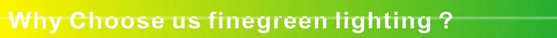 el strip tape,glow el strip finegreen lighting factory making,holesale low price colorful el tape in roll