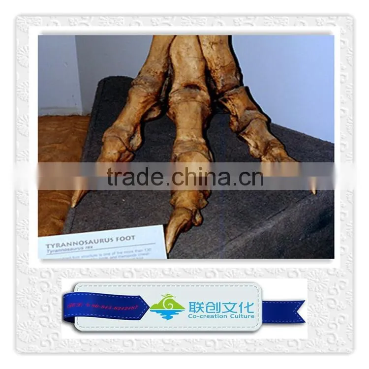 T-rex resin skull fossil