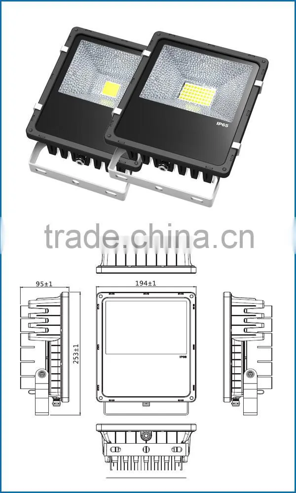 UL DLC TUV SAA 50w Meanwell driver LED Floodlight
