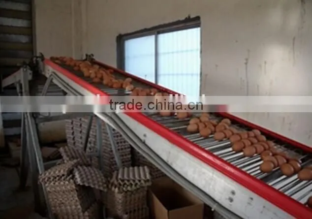 chicken layer cage