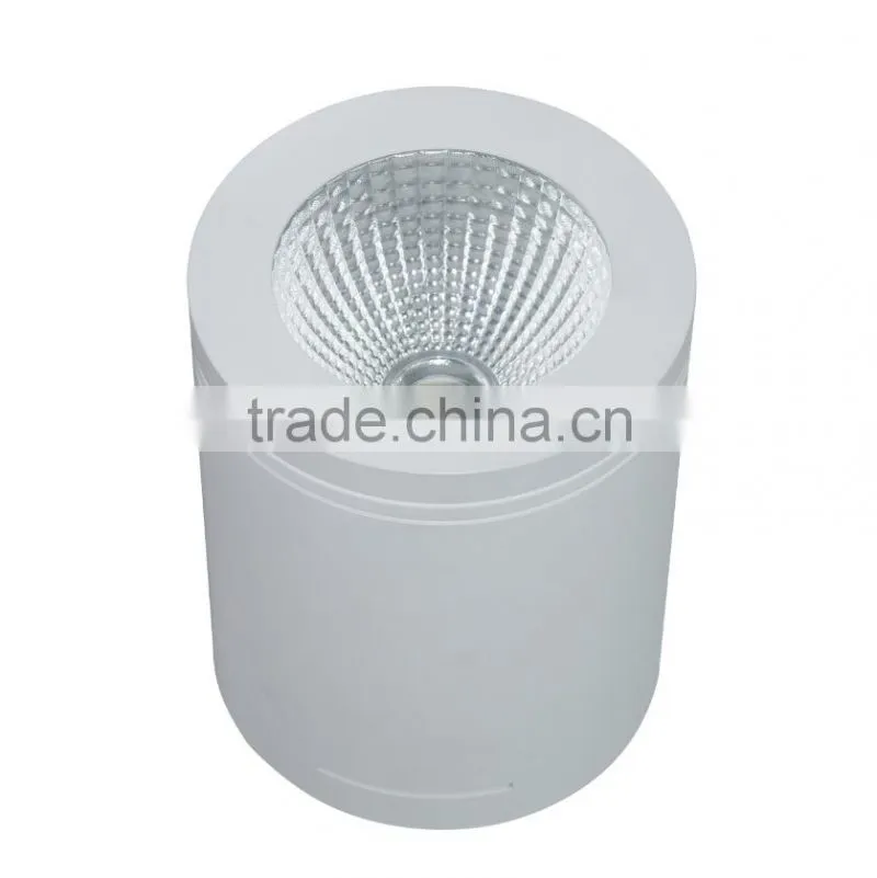 12W LED COB Surface Mounted Downlight IP44