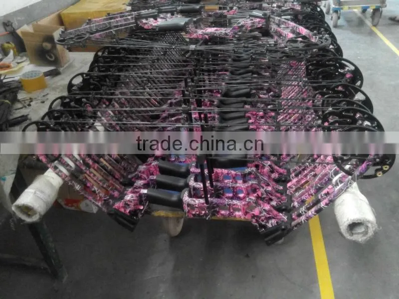 Fashion Aluminum M120 Compound Bow For Hunting Have New Design