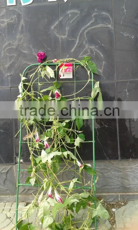 Plactic coated Flower screen